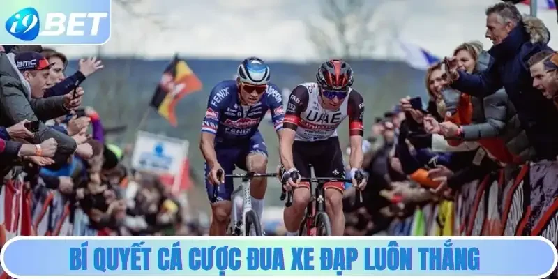 Bí quyết cá cược đua xe đạp luôn thắng Bí quyết cá cược đua xe đạp luôn thắng