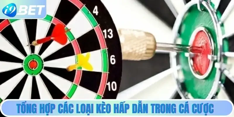 Tổng hợp các loại kèo hấp dẫn trong cá cược Tổng hợp các loại kèo hấp dẫn trong cá cược
