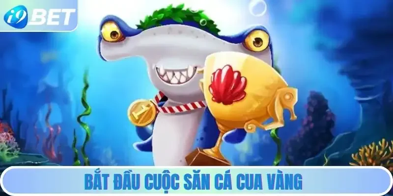 Bắt Đầu Cuộc Săn Cá Cua Vàng