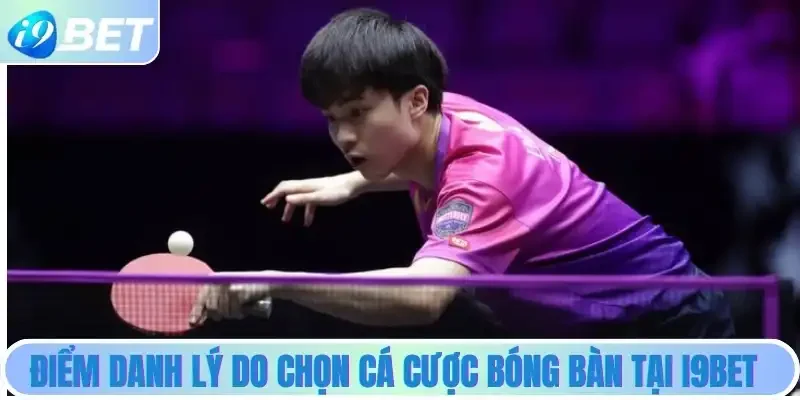 Điểm danh các lý do nên chọn cá cược bóng bàn tại i9bet
