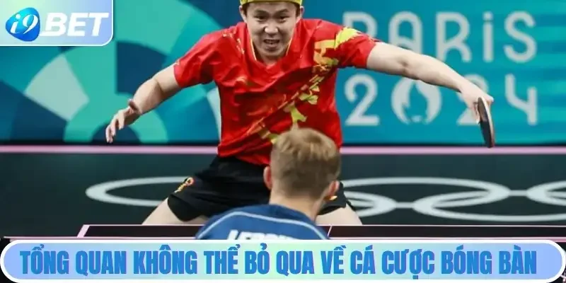 Tổng quan không thể bỏ qua về cá cược bóng bàn